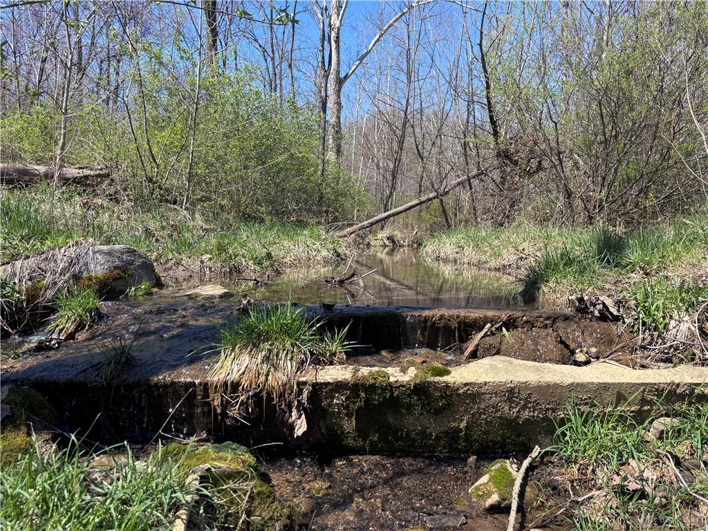 0 State Route 121 Property Photo 48