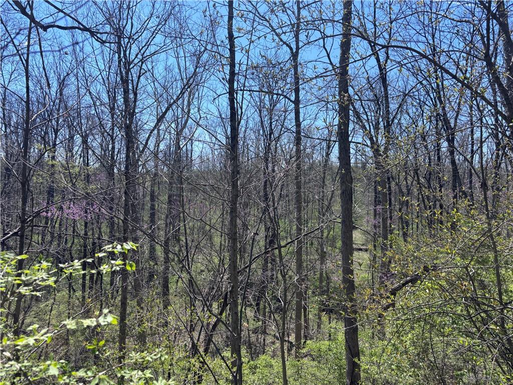 0 State Route 121 Property Photo 49