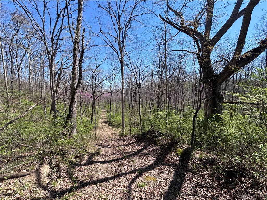 0 State Route 121 Property Photo 50