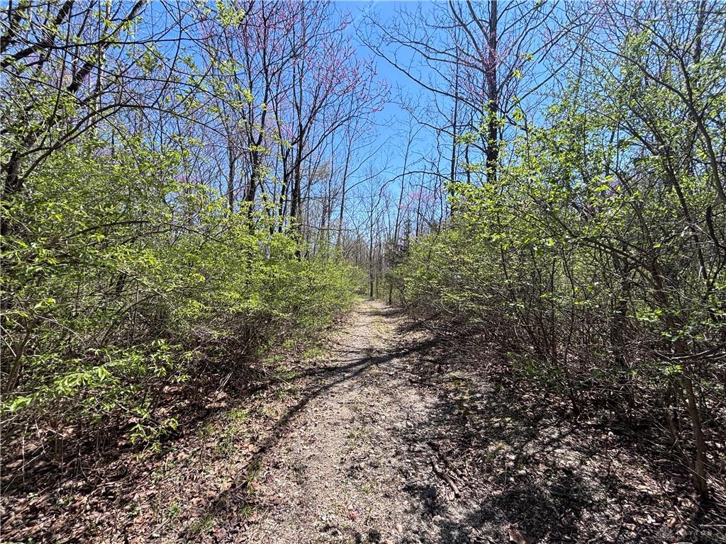0 State Route 121 Property Photo 51
