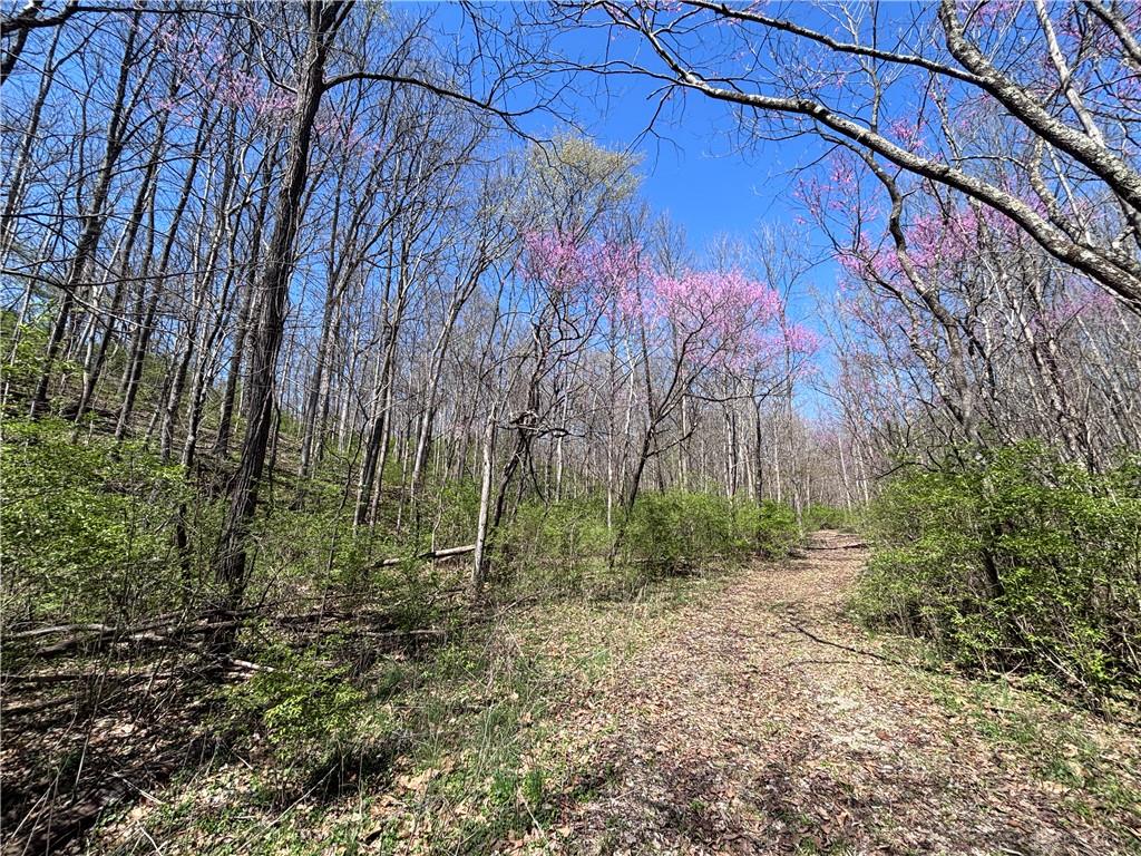 0 State Route 121 Property Photo 52