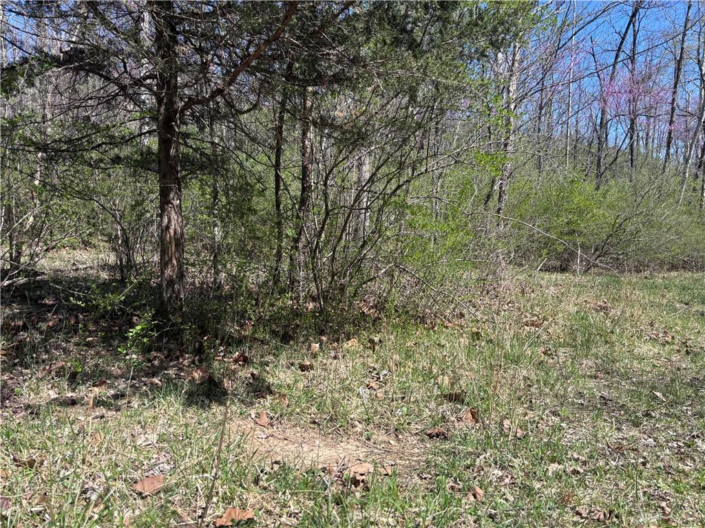 0 State Route 121 Property Photo 54