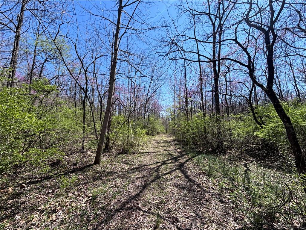 0 State Route 121 Property Photo 56