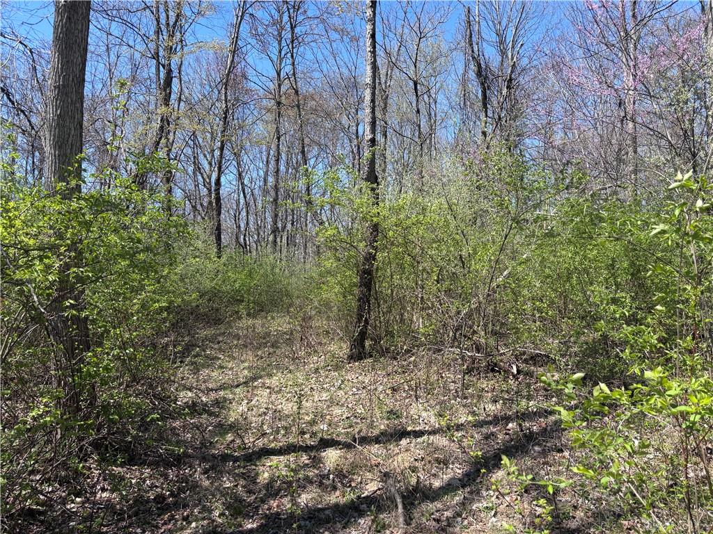 0 State Route 121 Property Photo 57