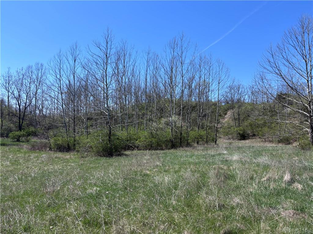 0 State Route 121 Property Photo 59