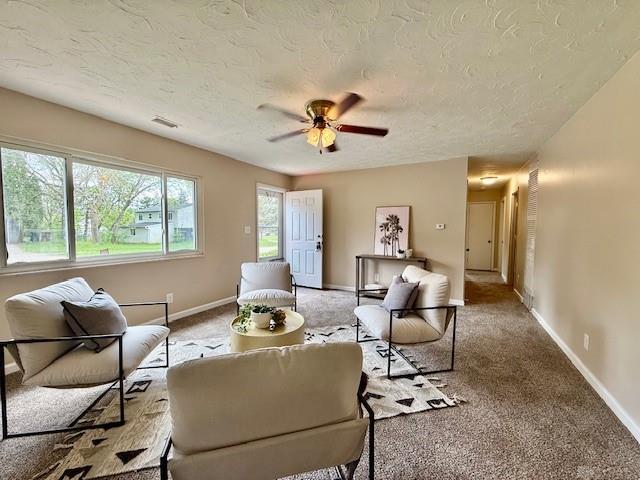 81 Sunburst Property Photo 2