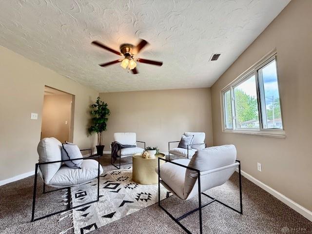 81 Sunburst Property Photo 3