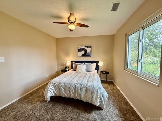 81 Sunburst Property Photo 13
