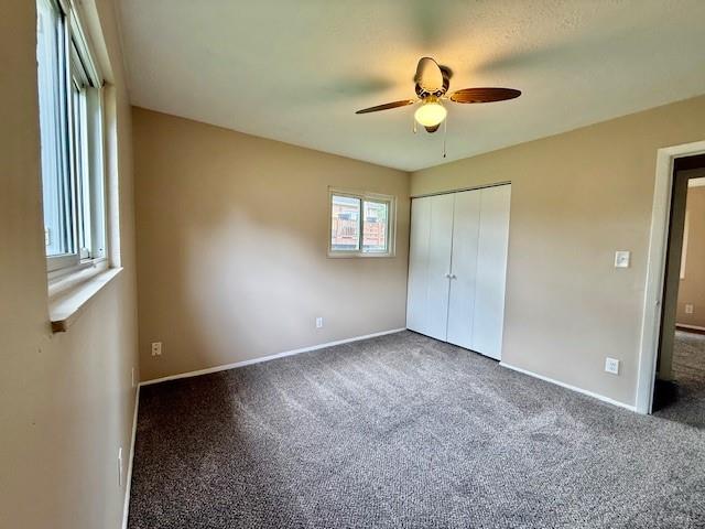 81 Sunburst Property Photo 15