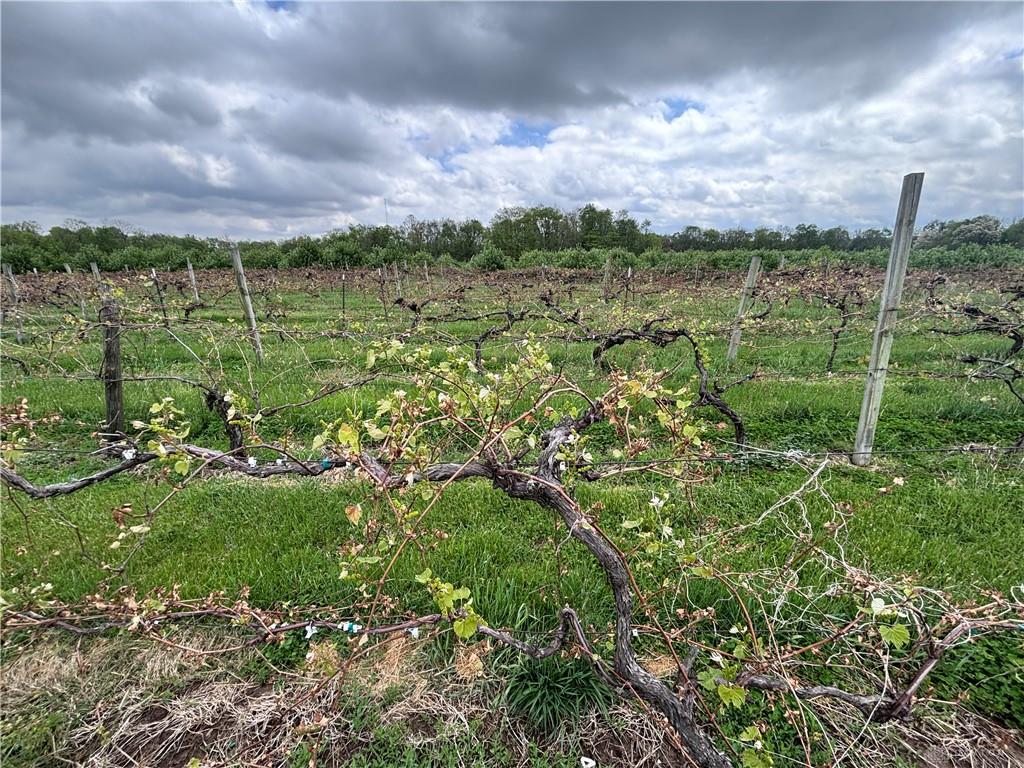 9319 Wesler Property Photo 82