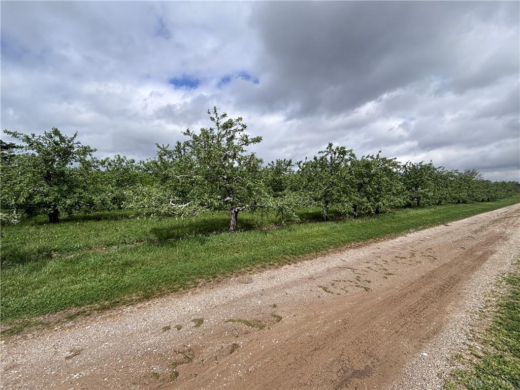 9319 Wesler Property Photo 84