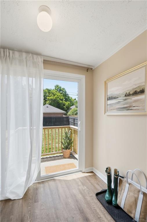 338 Forrer Property Photo 38