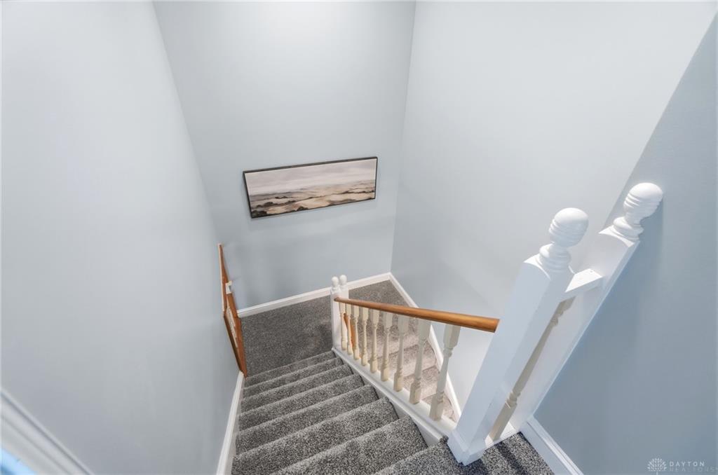 338 Forrer Property Photo 52