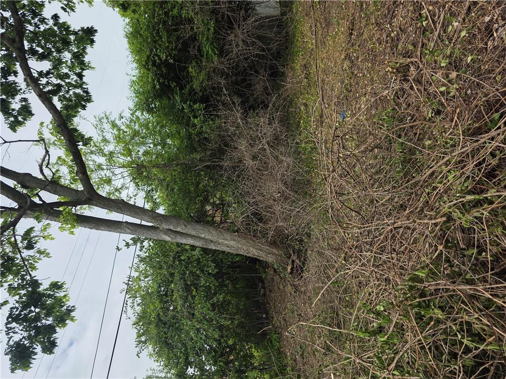 1343 Cory Property Photo 23