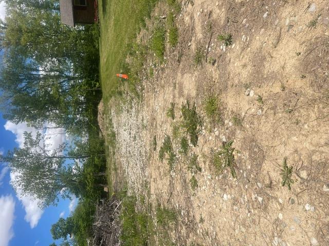 0 Skive Property Photo 2