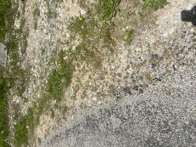 0 Skive Property Photo 3