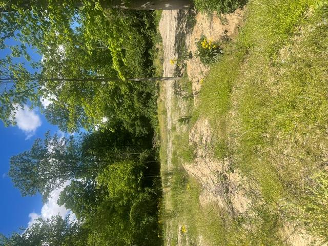 0 Skive Property Photo 5