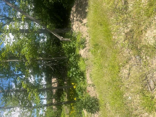 0 Skive Property Photo 7
