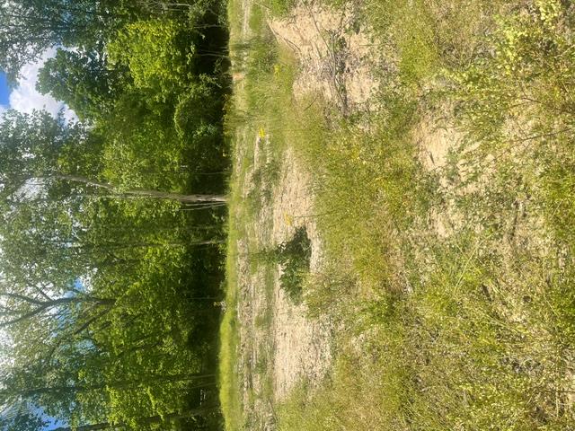 0 Skive Property Photo 8