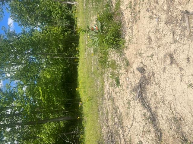 0 Skive Property Photo 9