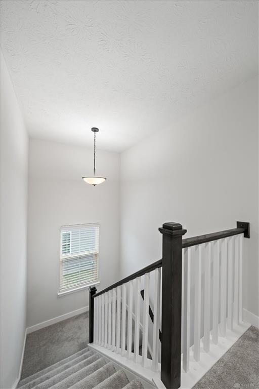 1812 Wildflower Property Photo 39