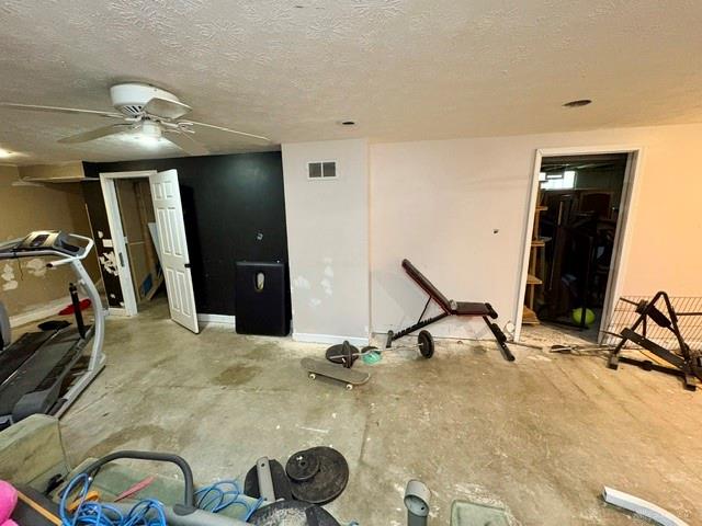 901 Damian Property Photo 13