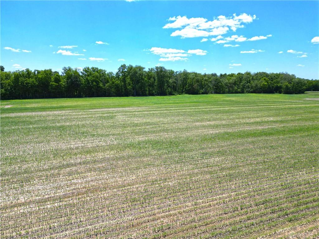 Tract 3 Hedges Property Photo 12