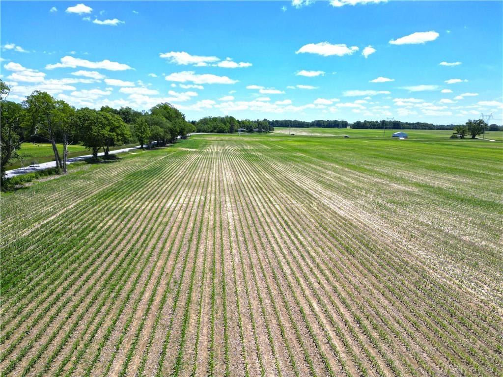Tract 3 Hedges Property Photo 13