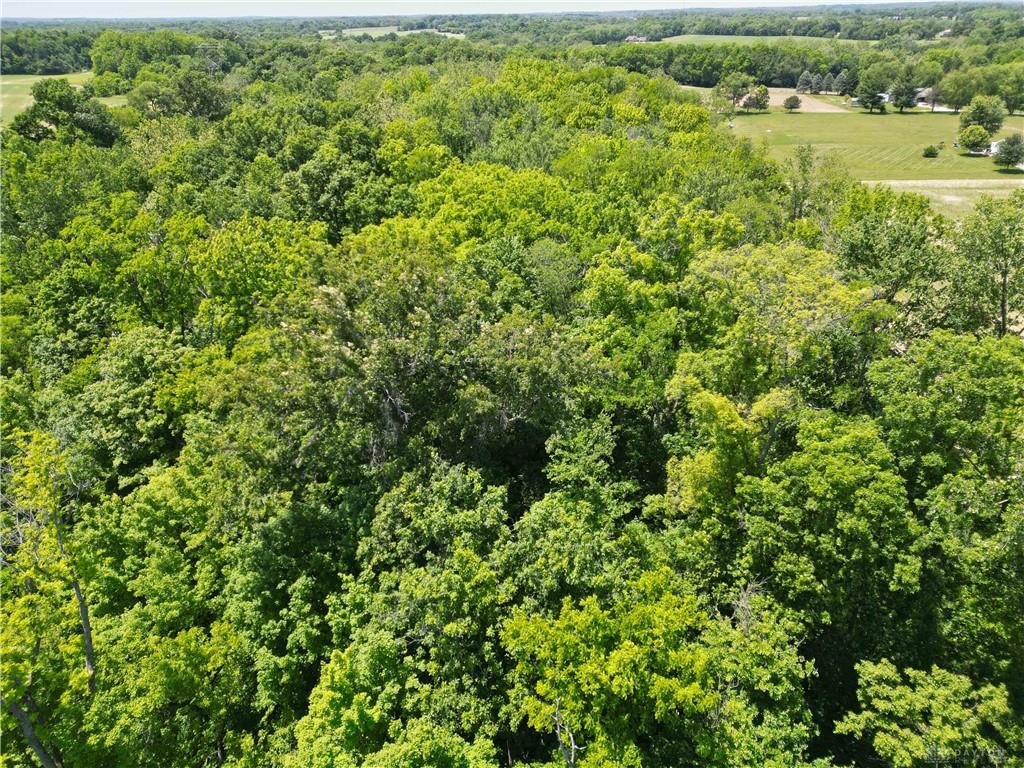 Tract 3 Hedges Property Photo 14