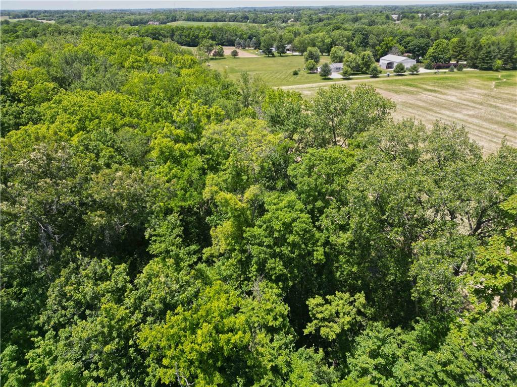 Tract 3 Hedges Property Photo 15