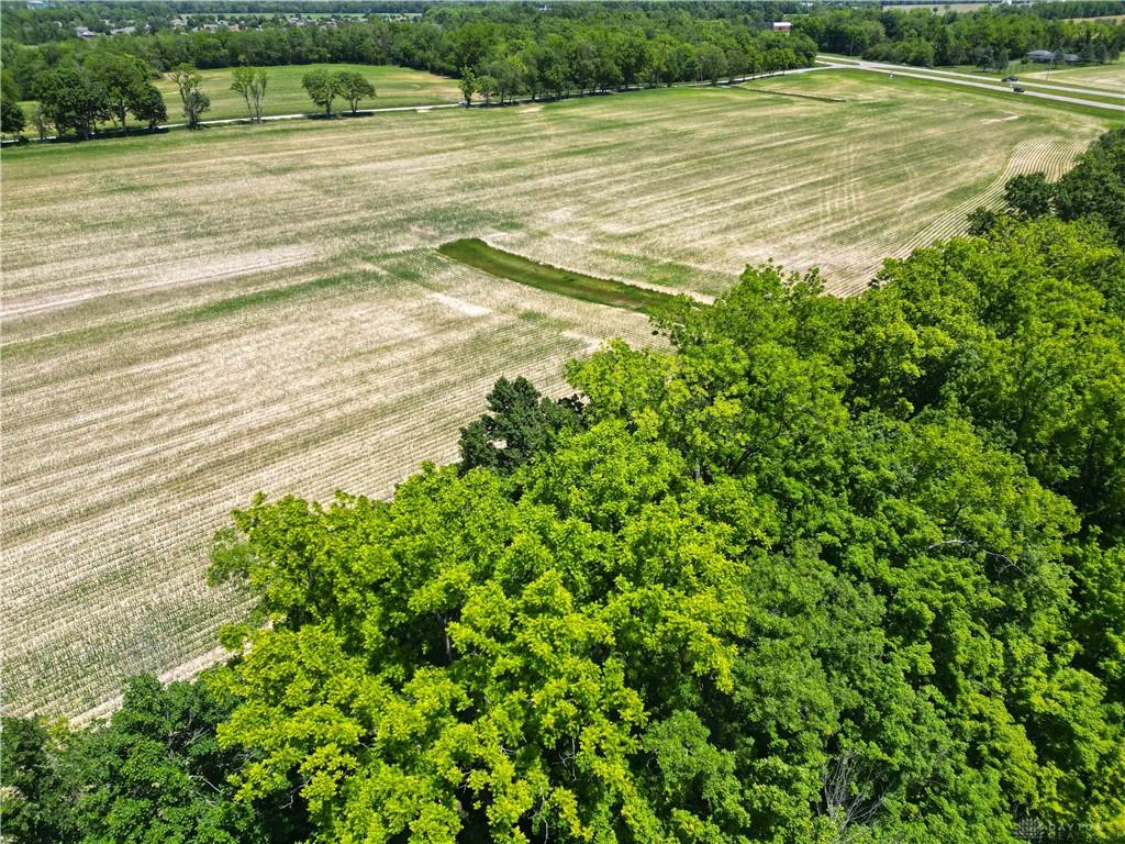 Tract 3 Hedges Property Photo 16