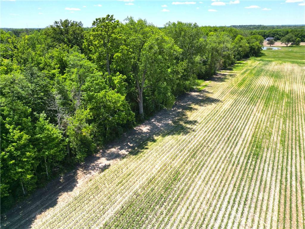 Tract 3 Hedges Property Photo 17