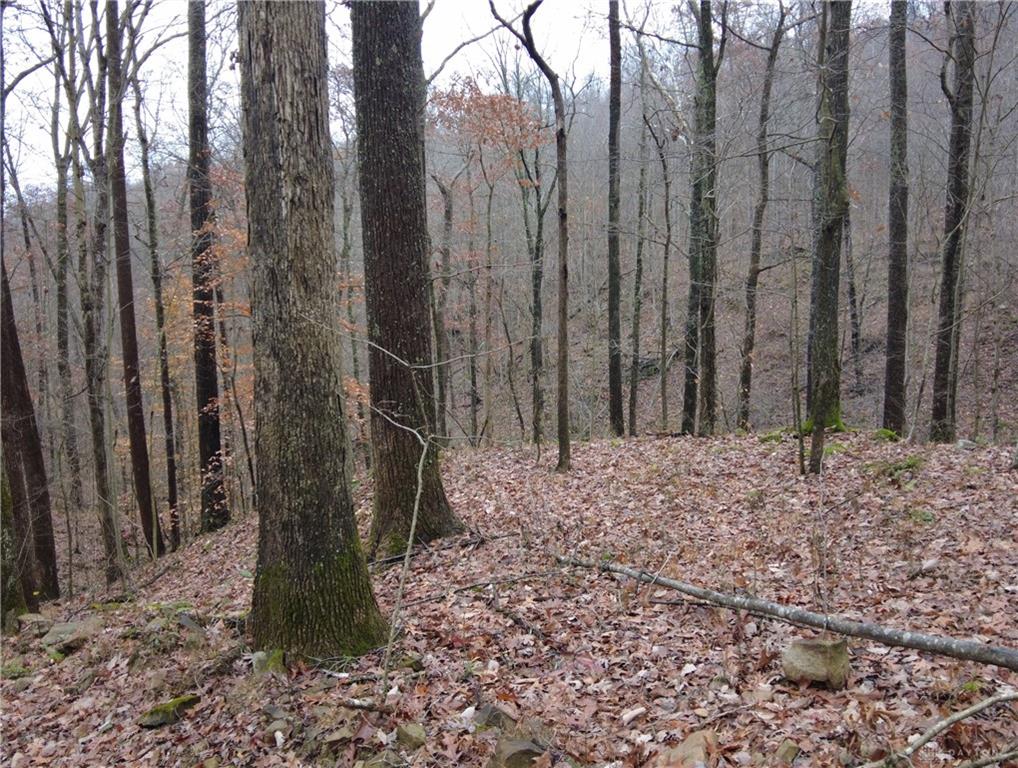135 Union Hill Property Photo 23
