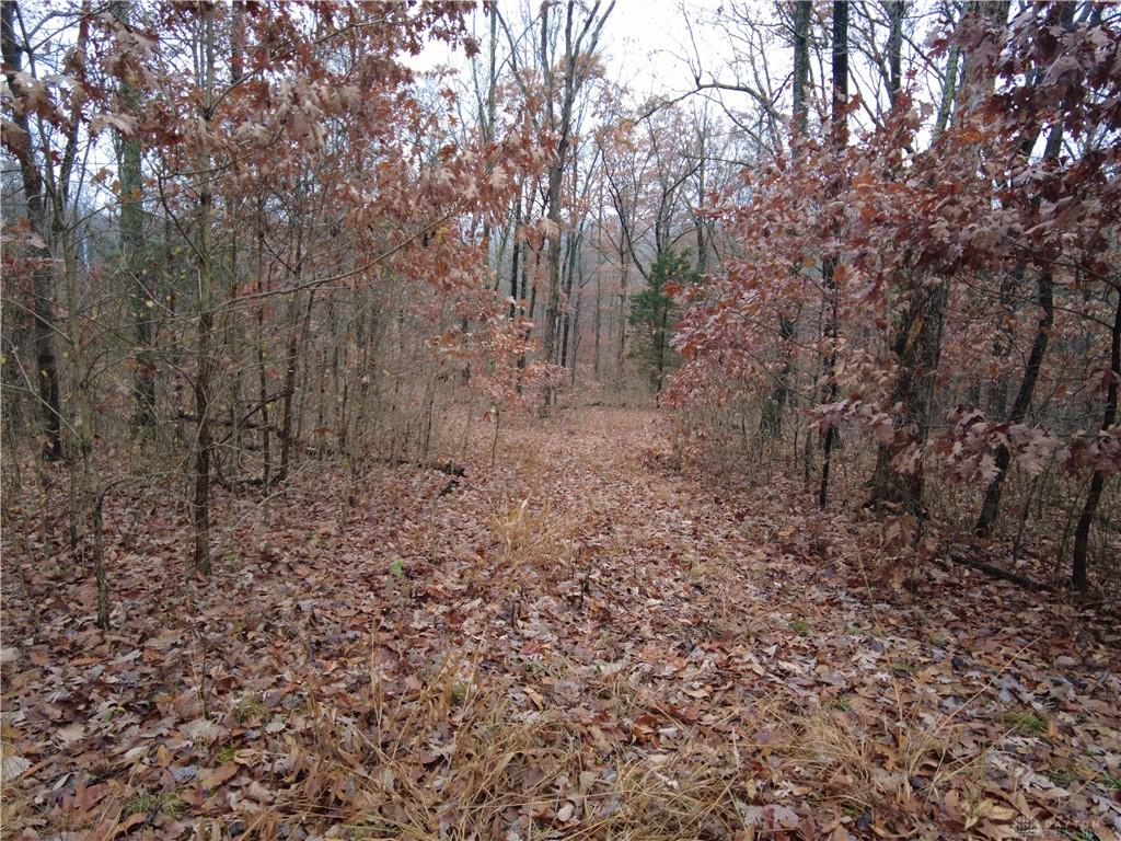 135 Union Hill Property Photo 29