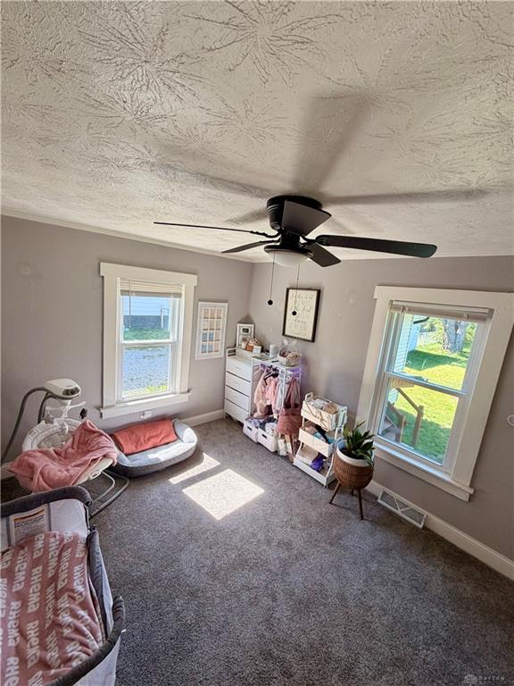 416 Summit Property Photo 19