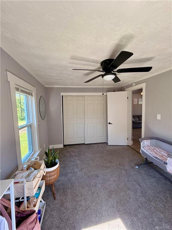 416 Summit Property Photo 20