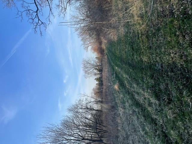 3475 Mulberry Property Photo 4
