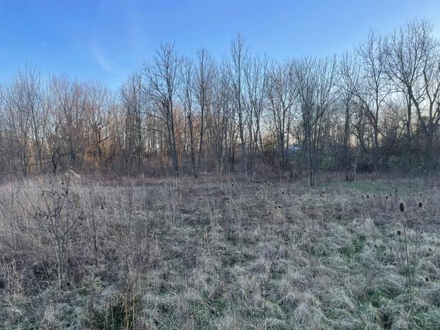 3475 Mulberry Property Photo 5