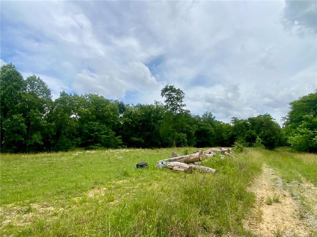 400 Lynn Morgan Property Photo 2