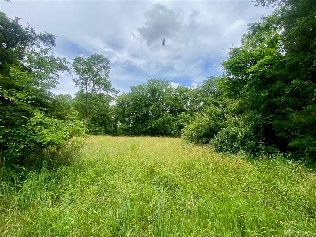 400 Lynn Morgan Property Photo 3