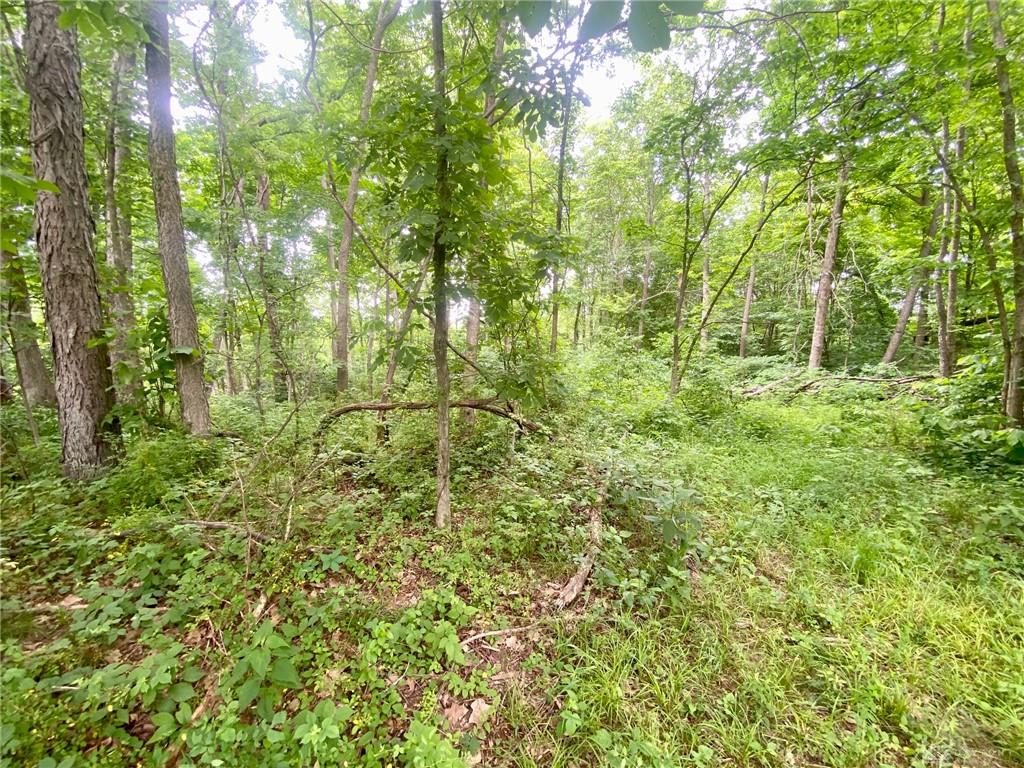 400 Lynn Morgan Property Photo 8
