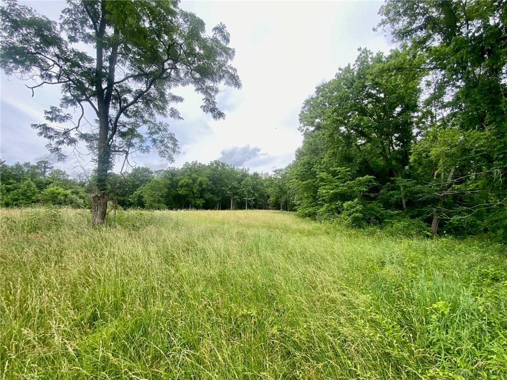 400 Lynn Morgan Property Photo 10