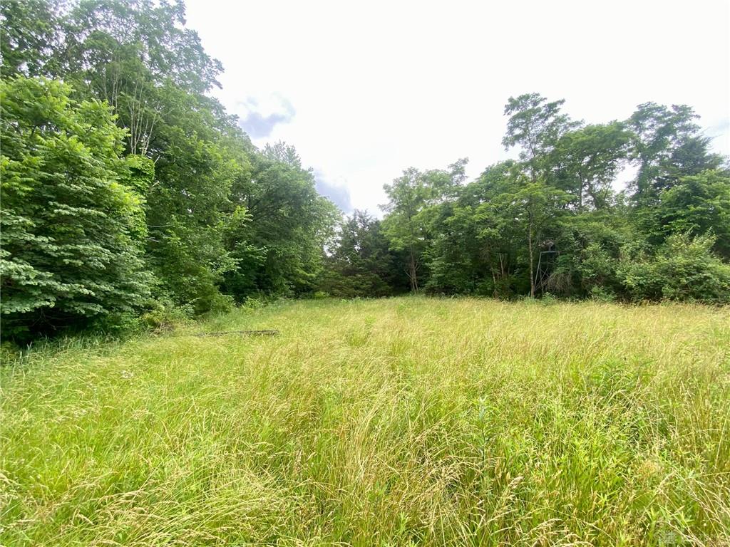 400 Lynn Morgan Property Photo 11