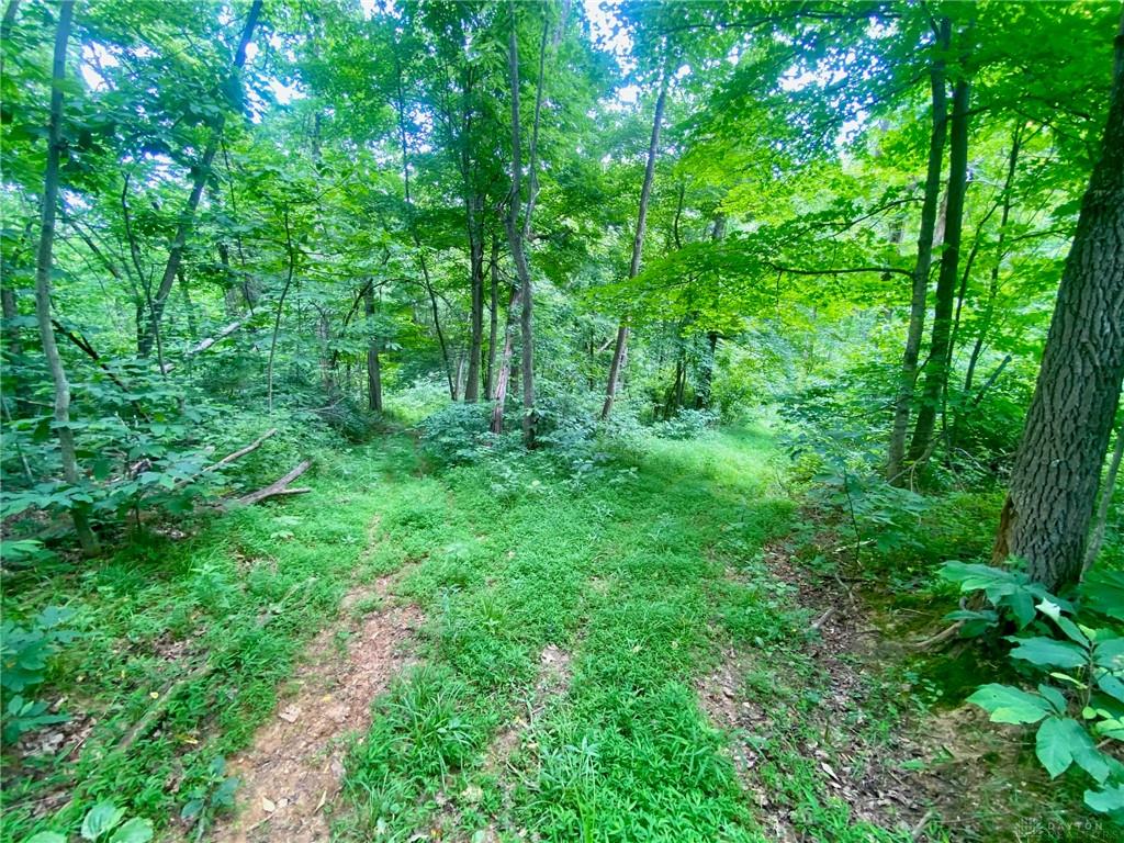 400 Lynn Morgan Property Photo 12