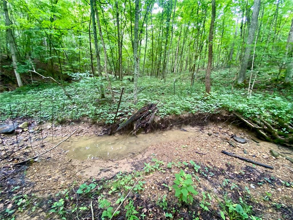 400 Lynn Morgan Property Photo 17