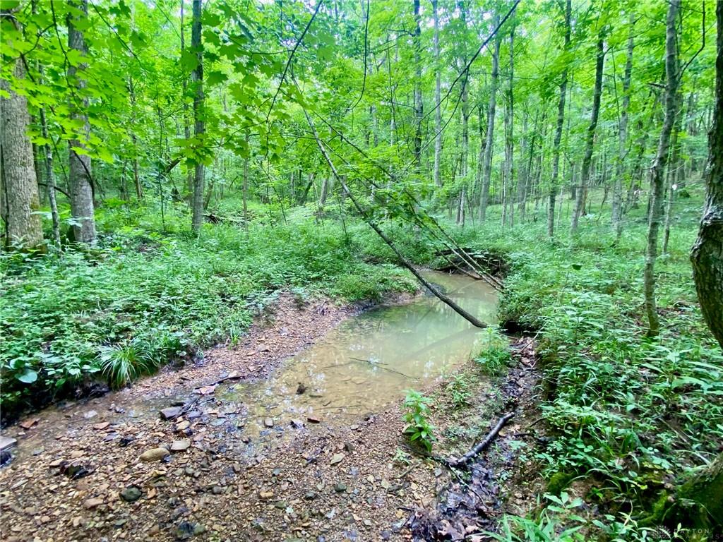 400 Lynn Morgan Property Photo 18