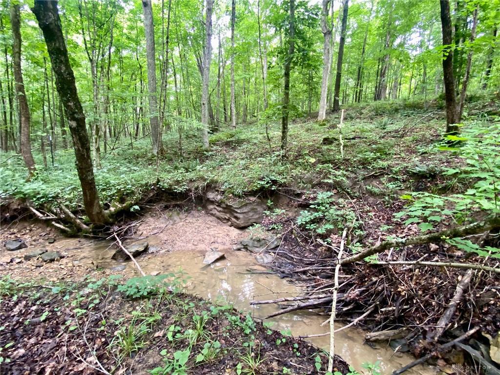 400 Lynn Morgan Property Photo 19