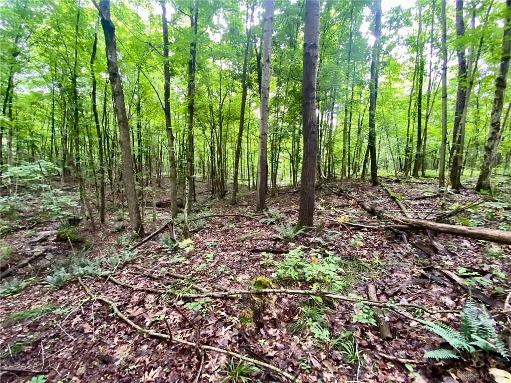 400 Lynn Morgan Property Photo 20