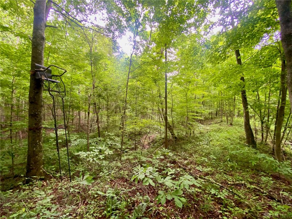 400 Lynn Morgan Property Photo 22
