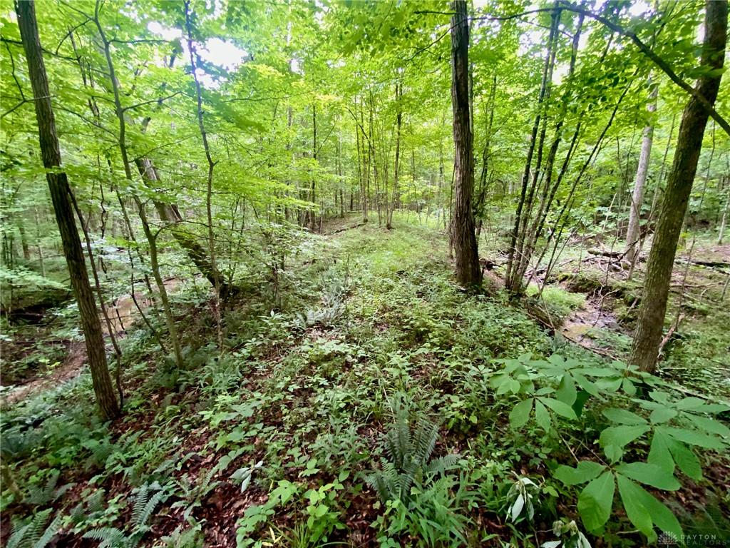 400 Lynn Morgan Property Photo 23